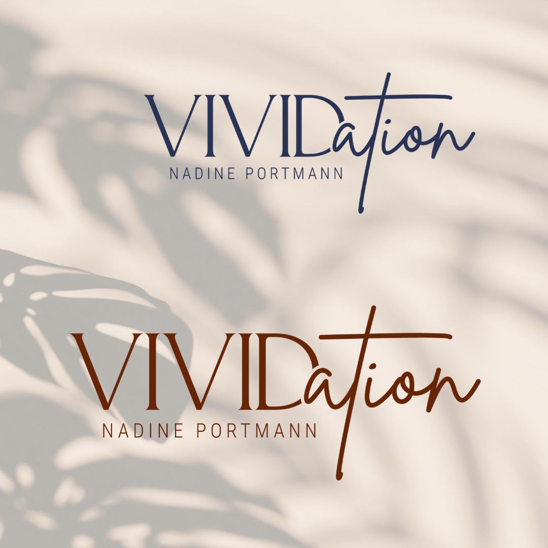 Vividation logo in blue and red