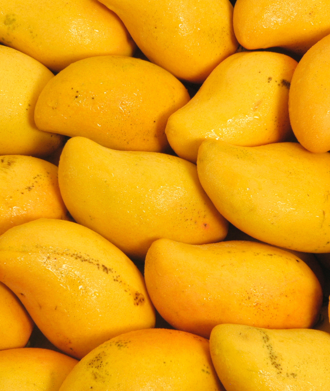 Mangoes from Sri Lanka