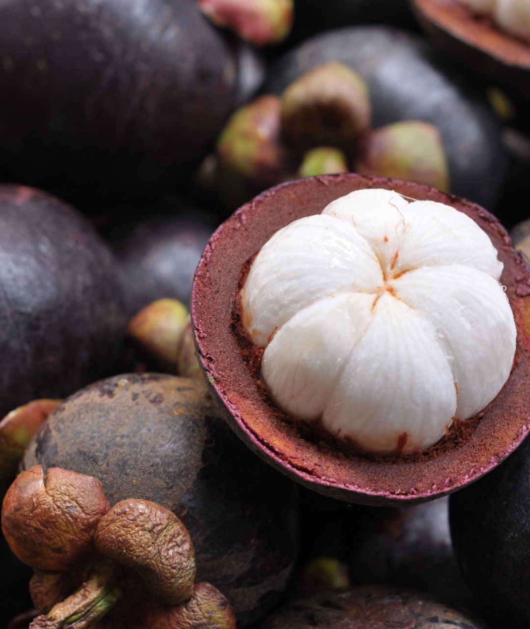 some mangosteen, one fruit is open and you see the white fruit inside.