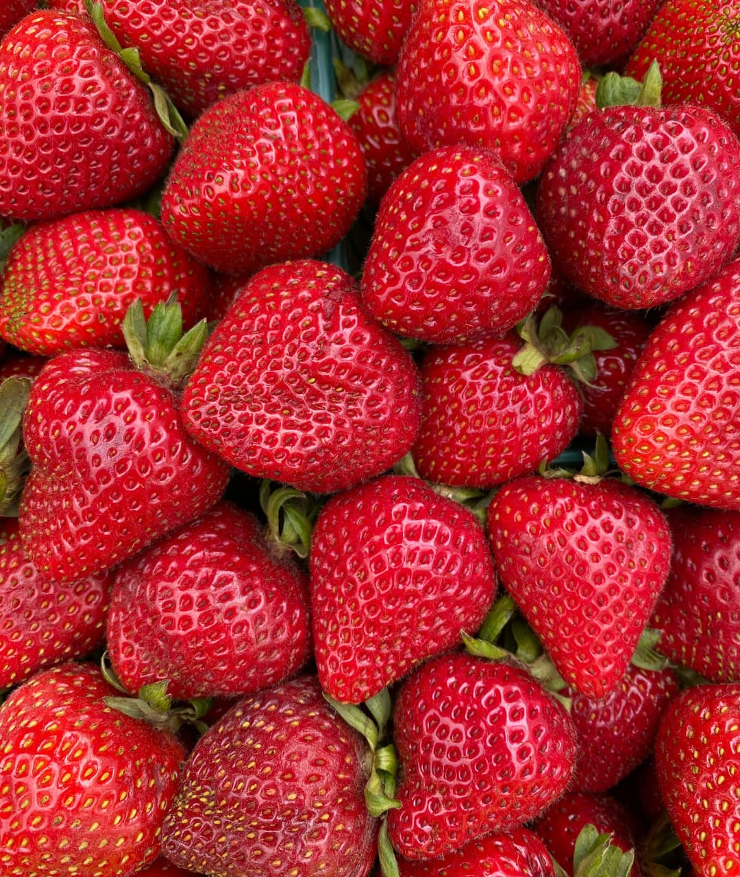 some strawberries from Nuwara Eliya in Sri Lanka