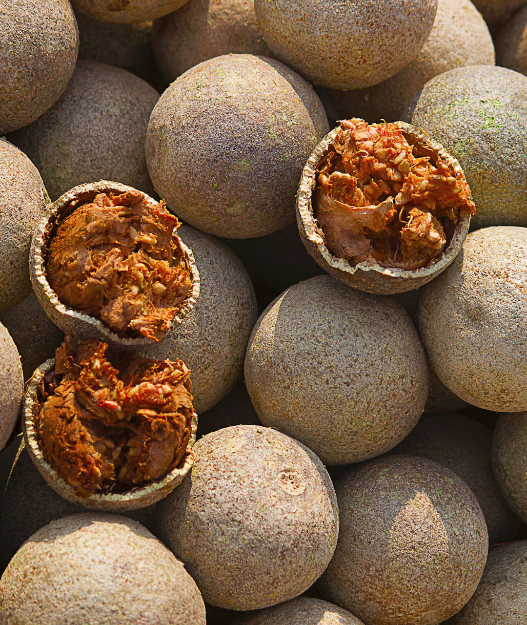 some wood apples from Sri Lanka